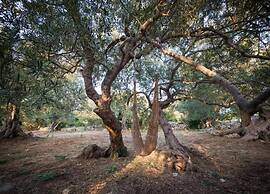 Apartment in Essen With Terrace