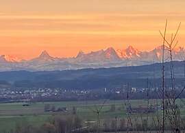 Apartment in Essen With Terrace