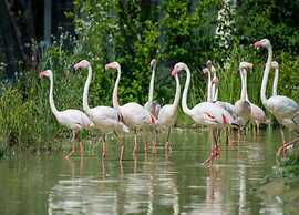 Apartment in Essen With Terrace