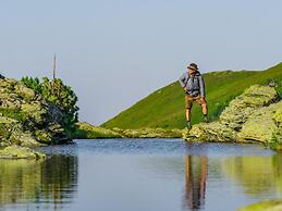 Superior Chalet With Sauna