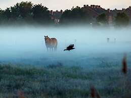 North Beach Modern Retreat