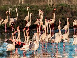 Modern Apartment With sea Views on the Cote Dazur