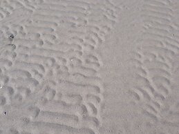 Holiday Apartment in Thuringia