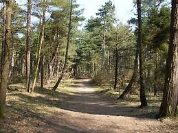 Haus Schumacher Modern Retreat