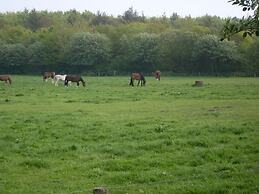 Haus Schumacher Modern Retreat