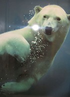 Majestic Apartment in Olsberg