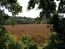 Quellenhof Comfortable Holiday Residence