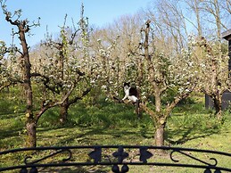 Nature House With two Bedrooms and two Bathrooms