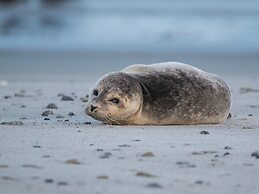 Charming Holiday Home With a Terrace
