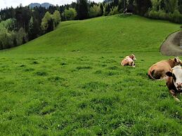 Apartment in Tyrol With Parking