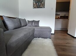 Great Apartment Near the ski Area