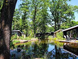 Bunglow With Pool in Hoenderloo