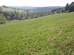 Daumler 