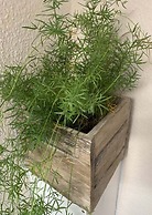 Tini - Haus Deichperle