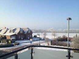 Albatros in the House of Aquarius