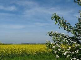 Albatros in the House of Aquarius