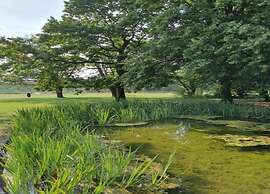 Beautiful House With air Conditioning