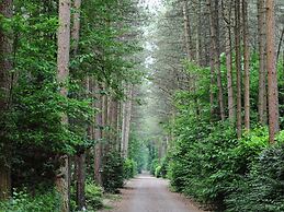 Beautiful House With air Conditioning
