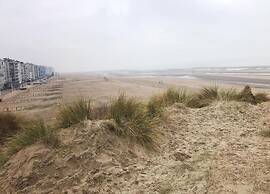 Villa in Koksijde Near the Sea