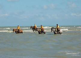 Villa in Koksijde Near the Sea