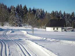 Attractive Apartment in Haidmuhle