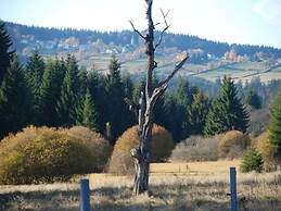 Attractive Apartment in Haidmuhle