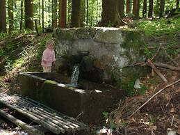 Attractive Apartment in Haidmuhle