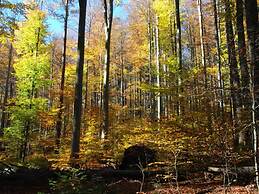 Attractive Apartment in Haidmuhle