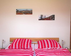 Attractive Apartment in Haidmuhle