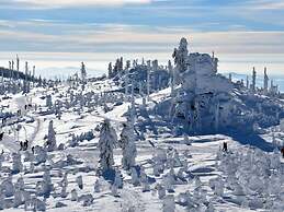 Attractive Apartment in Haidmuhle