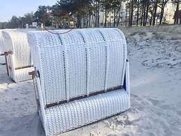 Villa Vogue, Austernfischer