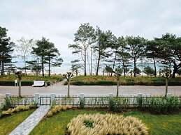 Villa Vogue, Austernfischer