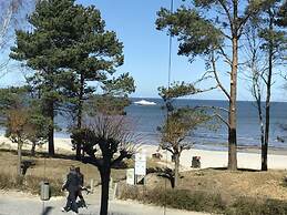 Villa Vogue, Austernfischer