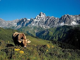 Apartment in St.gallenkirch Near ski Area