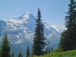 Chalet Brunnen 1st Floor