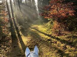 Vacation Home on a Riding Stables