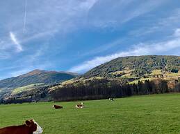 Holiday Flat With Terrace Near Wildkogel