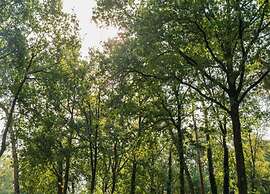 Nature Escape w/ Garden