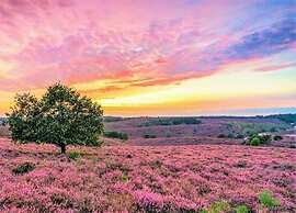 Nature Escape w/ Garden