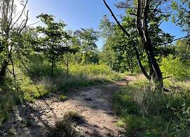 Nature Escape w/ Garden