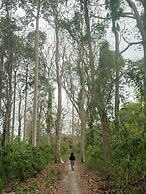 Yogu's Woodside