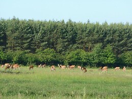 The Fischerhaus on Lake Malkwitzer See