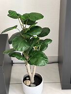 Enchanting View of Lake Maggiore & Mountains