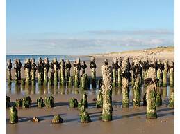 Haus Ruusenhoog - Apartment 7