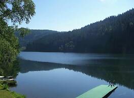 Andi's Berghutte Comfortable Holiday Residence