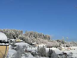 Andi's Berghutte Comfortable Holiday Residence