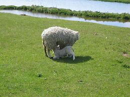 Pellworm in Haus Halligblick