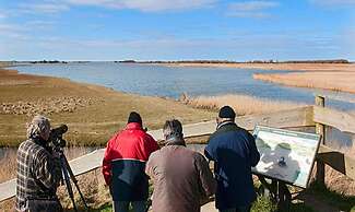 Glamping in Friesland With Friends