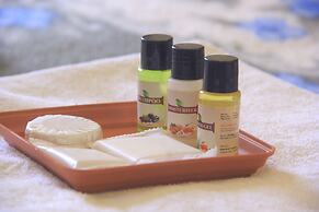 ROSHNI - THE LUXURY GUEST HOUSE