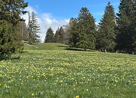 Apartment in Essen With Terrace